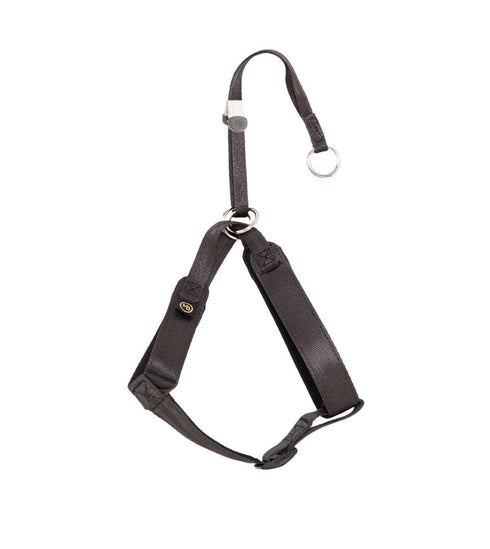 MANDARINE BROTHERS クラシックハーネス/CLASSIC HARNESS